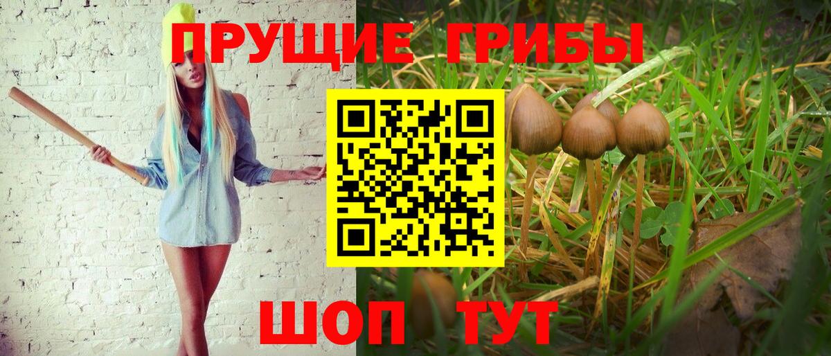 Псилоцибиновые грибы Cubensis  Вход с VPN  Миасс 